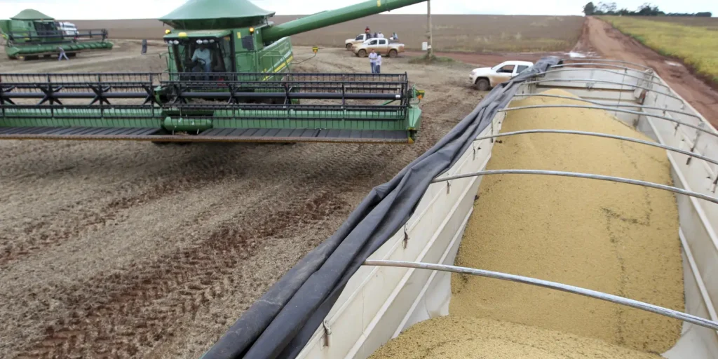 Plataforma cruza dados para rastrear cadeias de commodities